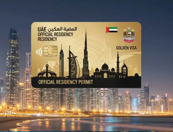 best business consultant in Dubai