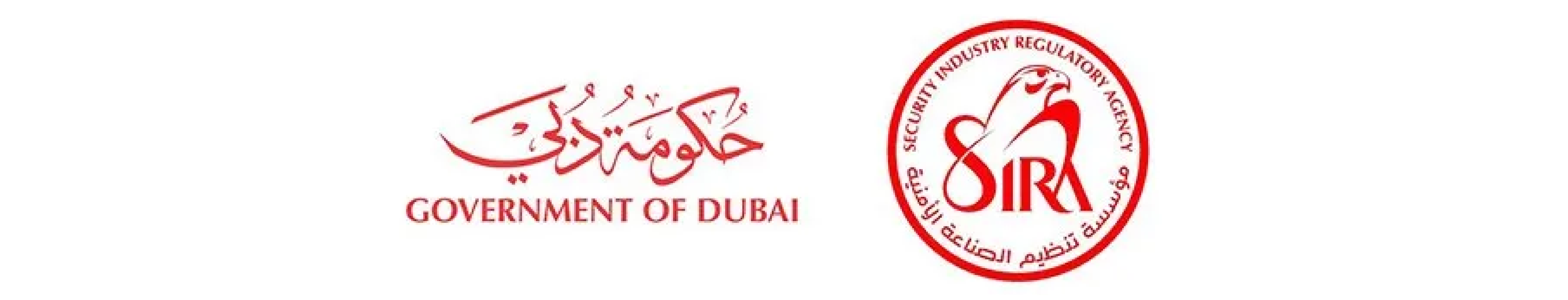 best business consultant in Dubai